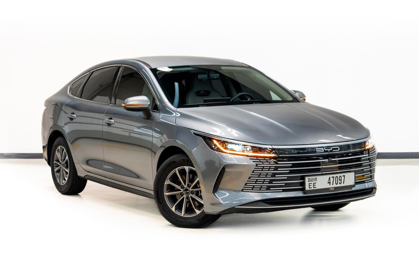 BYD DESTROYER 05 gallery image 1