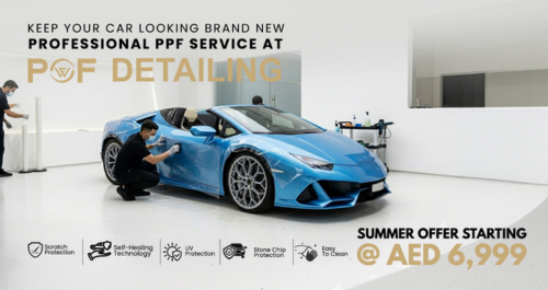 PPF – Paint Protection Expert reward item